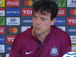 Fernando Diniz