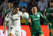 Palmeiras Maurício e Escobar