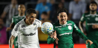 Palmeiras Maurício e Escobar