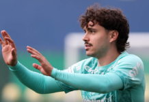 Palmeiras Maurício