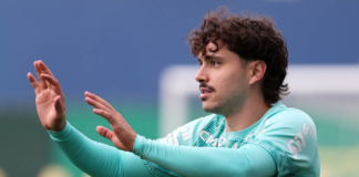 Palmeiras Maurício