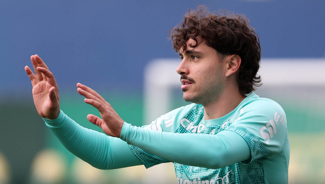 Palmeiras Maurício