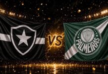 Botafogo x Palmeiras: onde assistir! Alviverde visita o Fogão e precisa vencer para continuar na liderança
